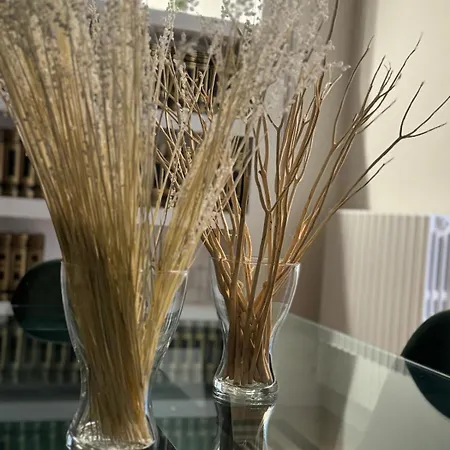 Putignani 155 - Affitti Brevi Italia * 巴里